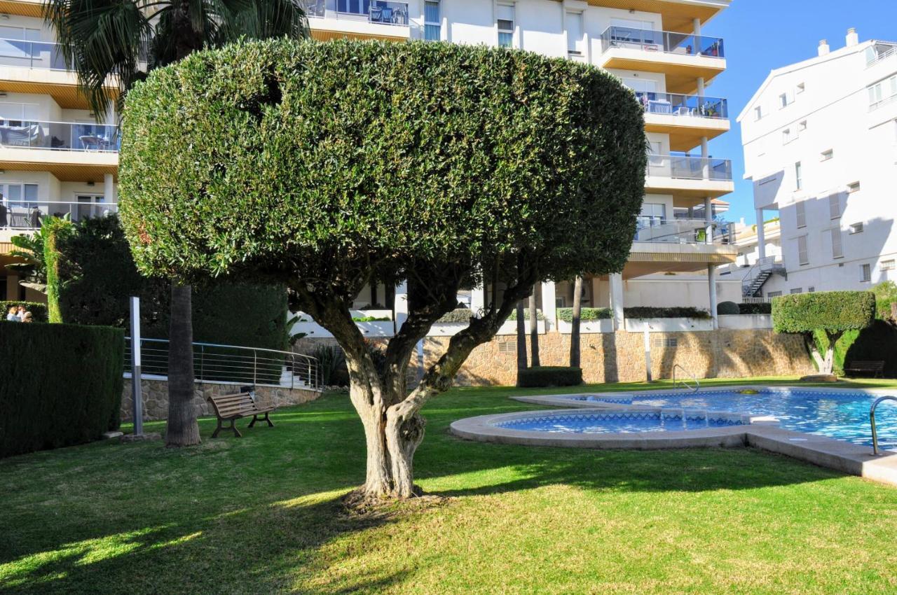 Exclusive Beachside 3 Bedroom Apartment With Pool In אלתיאה מראה חיצוני תמונה
